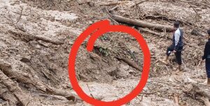 झ्याप्ले खोला पहिरोः पुरिएको अवस्थामा बस फेला पर्यो, पहिरो पन्छाउने क्रम जारी