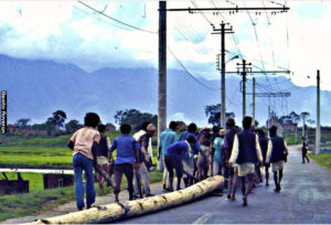 इन्द्रजात्राको तयारी तीव्र, बसन्तपुर क्षेत्रमा सरसफाइ र रंगरोगन