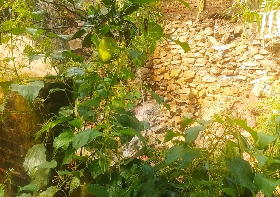 कीर्तिपुरमा भारी वर्षापछिको भेलले एक पुरुष बगायो, खोजी कार्य जारी