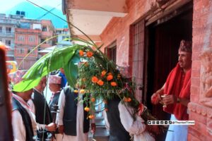 बडा दशैंको साताैं दिन आज घरघरमा फूलपाती भित्र्याइँदै