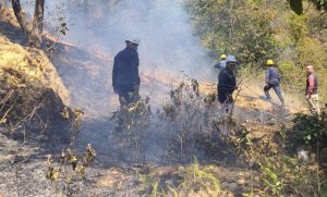 १२२ जना जनशक्ति, २ वटा दमकल प्रयोगपश्चात ११ घण्टापछि निभ्यो केउरानि वनमा लागेको आगो