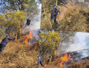 केउरेनी वनमा लागेको आगो नियन्त्रणमा लिन प्रहरी, सेनासमेत परिचालन