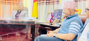 धवलशमशेरले भेटे अध्यक्ष लिङ्देनसहितका नेता, उपचारका लागि भारत जाँदै