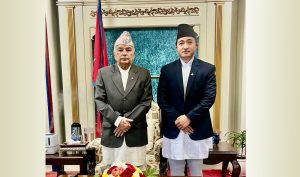 राष्ट्रपतिसँग राखेपका सदस्य-सचिव घिसिङको भेट