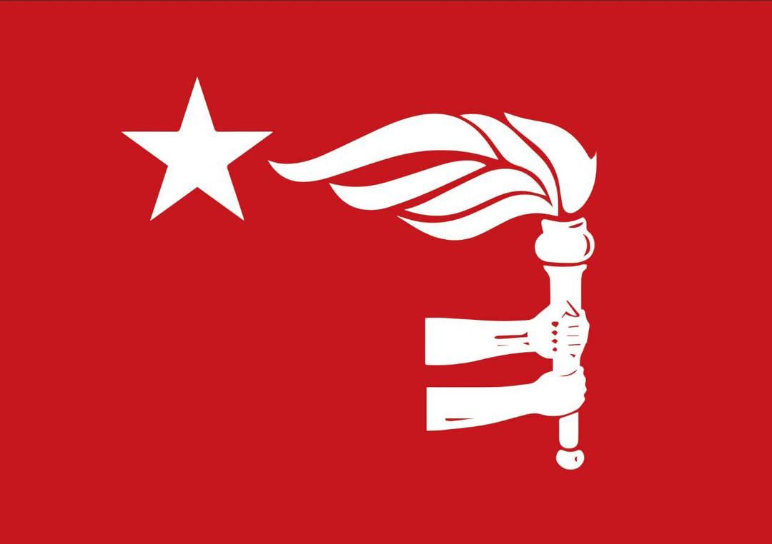 वाईसीएलमा ७४ सदस्यीय जम्बो टिम, उपाध्यक्षको संख्या २२ जना