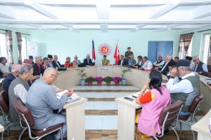 नेकपा एमालेकाे पोलिट ब्युरो बैठक सुरू