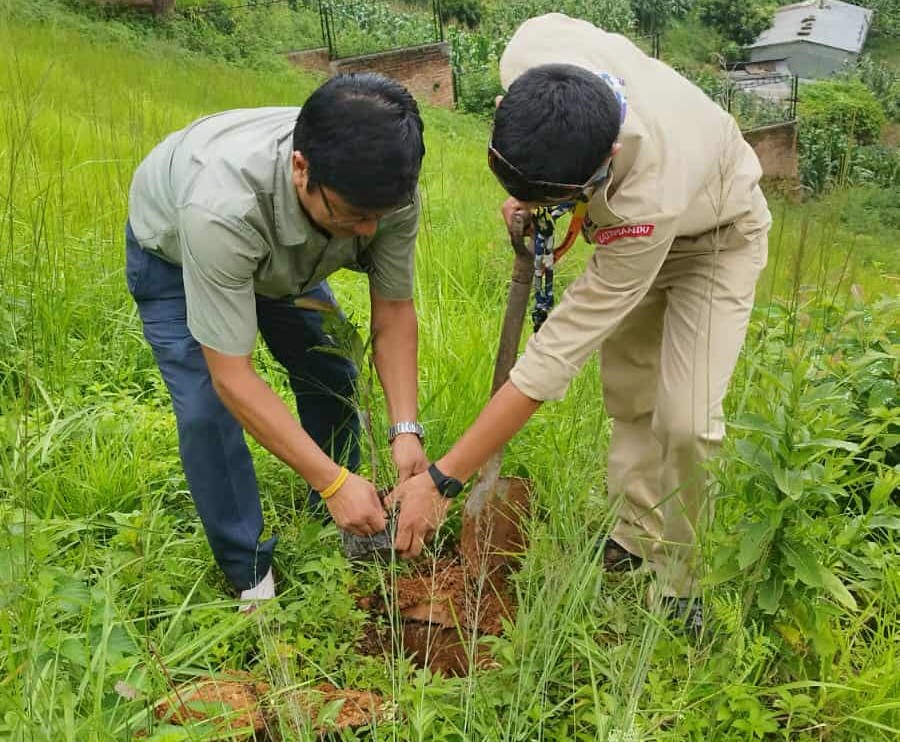 नैकापस्थित मदन स्मृति उद्यानमा वृक्षारोपण सम्पन्न