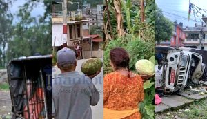 चित्लाङको तरकारी बोकेको गाडी थानकोटमा पल्टियो, मर्निङ वाल्करहरू तरकारी टिपेर फर्किए