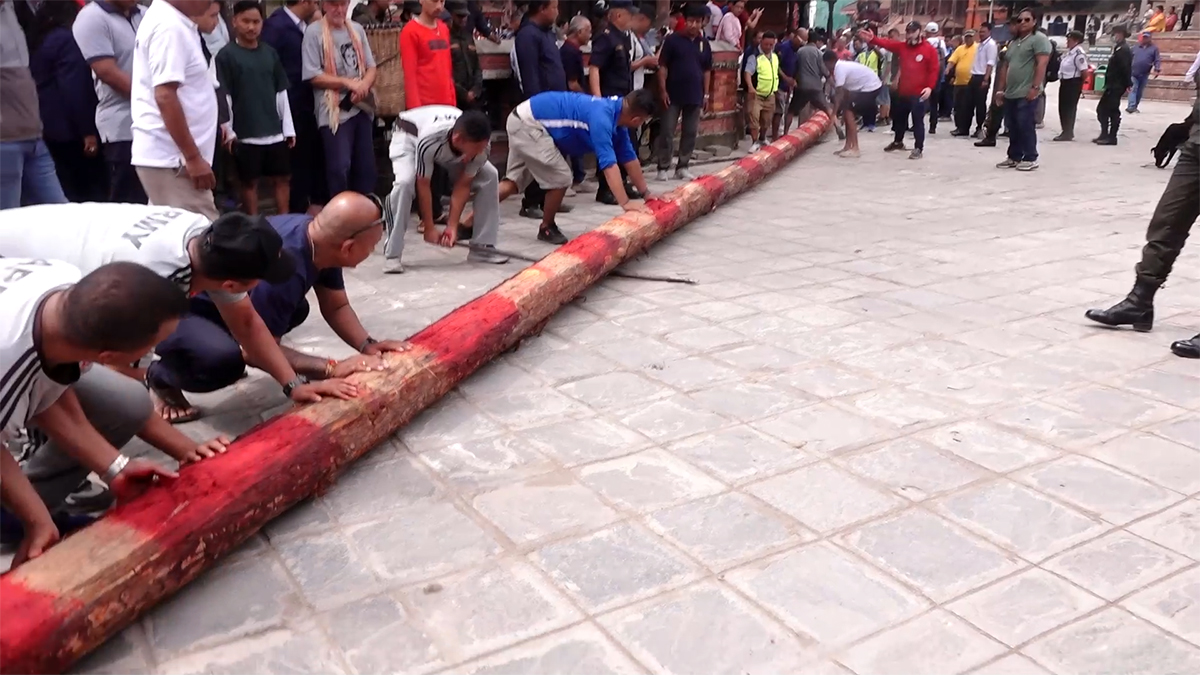 इन्द्रजात्राको यःसी (लिंगो) नगर प्रवेश