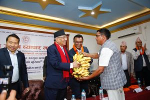 यो सरकार बिचौलियाको धम्कीबाट बनेको हो: प्रचण्ड