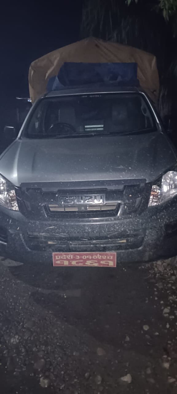 काउली लोड गरिएको पिकअपमा ३३४ केजी गाँजा भेटिएपछि..