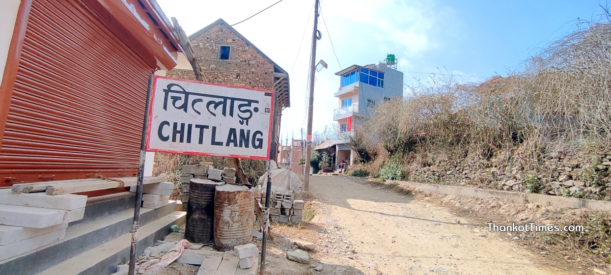 चित्लाङको महालक्ष्मी खोला किनारमा एउटा पोथी चितुवा मृत फेला