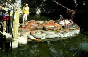 आज हरिबोधनी एकादशी अर्थात ठूली एकादशी