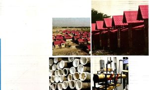 बाँसबाट निर्माण हुने संरचनाको डिजाइन सम्बन्धी मार्गदर्शन स्वीकृत