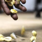 मातातिर्थमा काैडा खेलिरहेका घरधनीसहित २२ जना पक्राउ, अधिकांश स्थानीय, फेला पर्यो १६ लाख