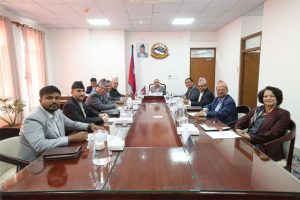 जेन-जी आन्दोलनका घाइतेलाई जनही १५ हजार दिने सरकारको निर्णय