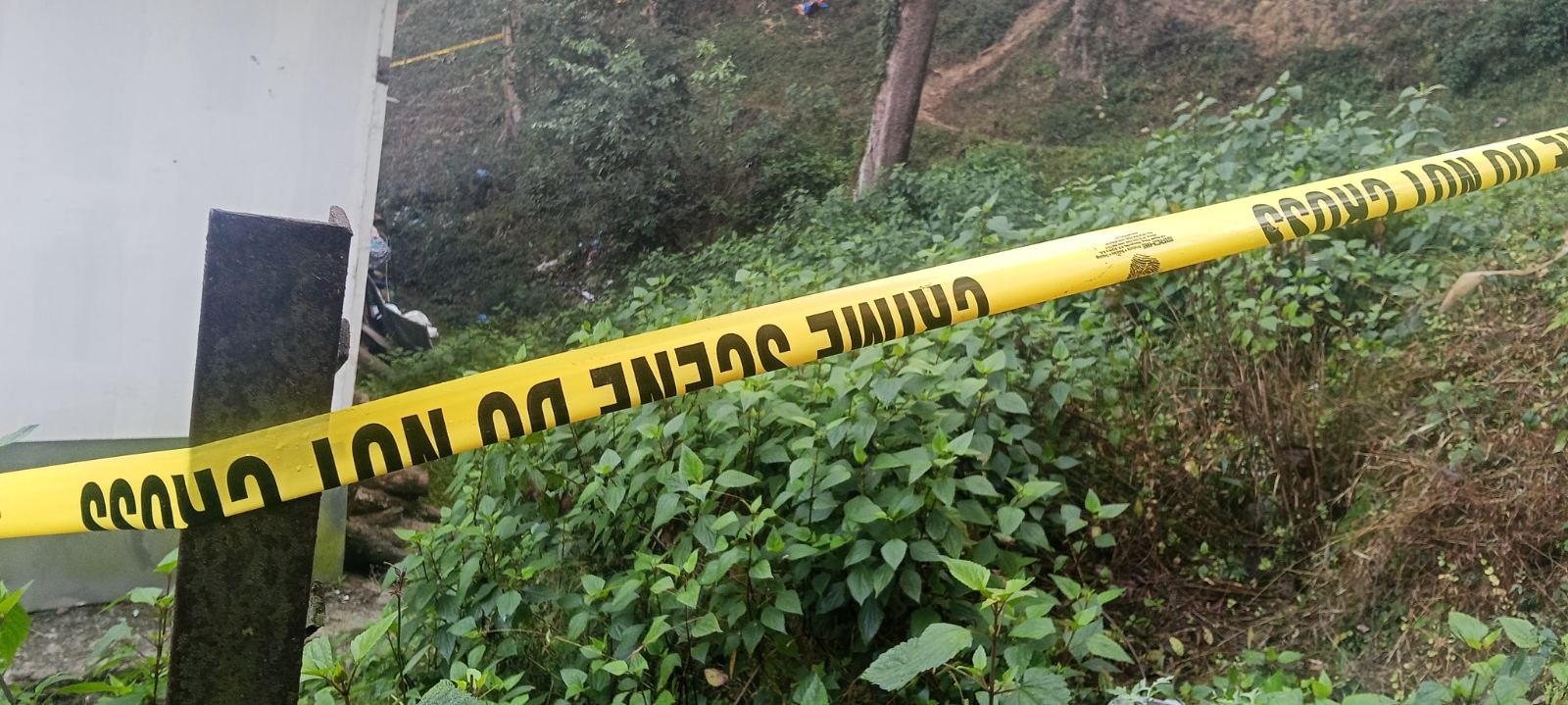 त्रिभुवन पार्कमा थानकोटका एक पुरुष मृत भेटिए, अनुसन्धान जारी