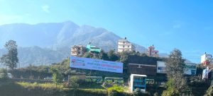 नेपाली कांग्रेसको विशेष महाधिवेशनमा ६२.४ प्रतिशत प्रतिनिधि उपस्थित