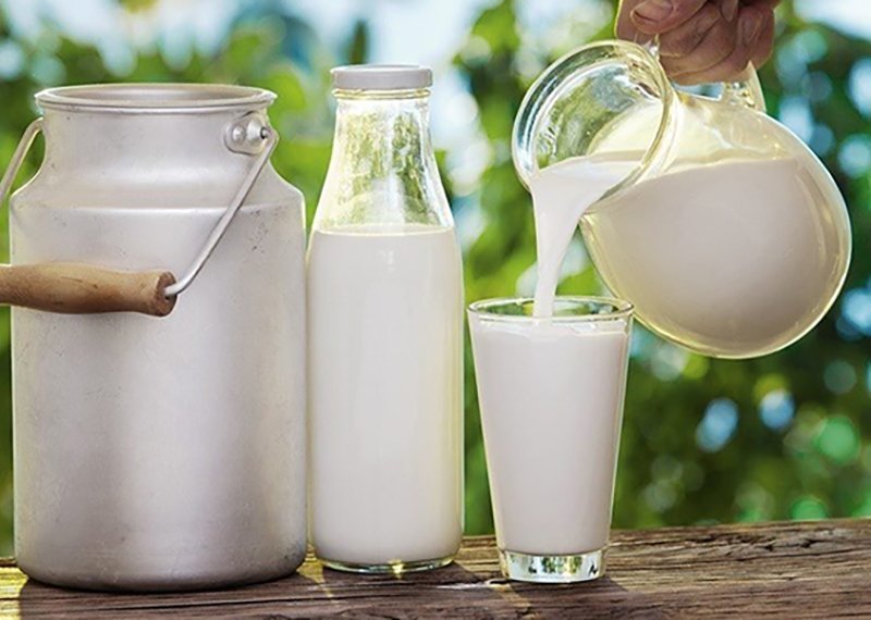 चन्द्रागिरिस्थित एक डेरी उद्योगमा कैफियत भेटिएपछि…