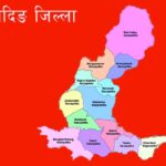 प्रतिनिधि सभामा विभिन्न चार दलका आठ जना धादिङे सांसद्, ४ जना रास्वपाबाट