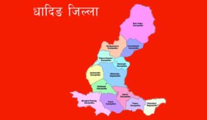 प्रतिनिधि सभामा विभिन्न चार दलका आठ जना धादिङे सांसद्, ४ जना रास्वपाबाट