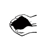 यी हुन् श्रम संस्कृति पार्टीले सिफारिस गरेका समानुपातिक सांसद