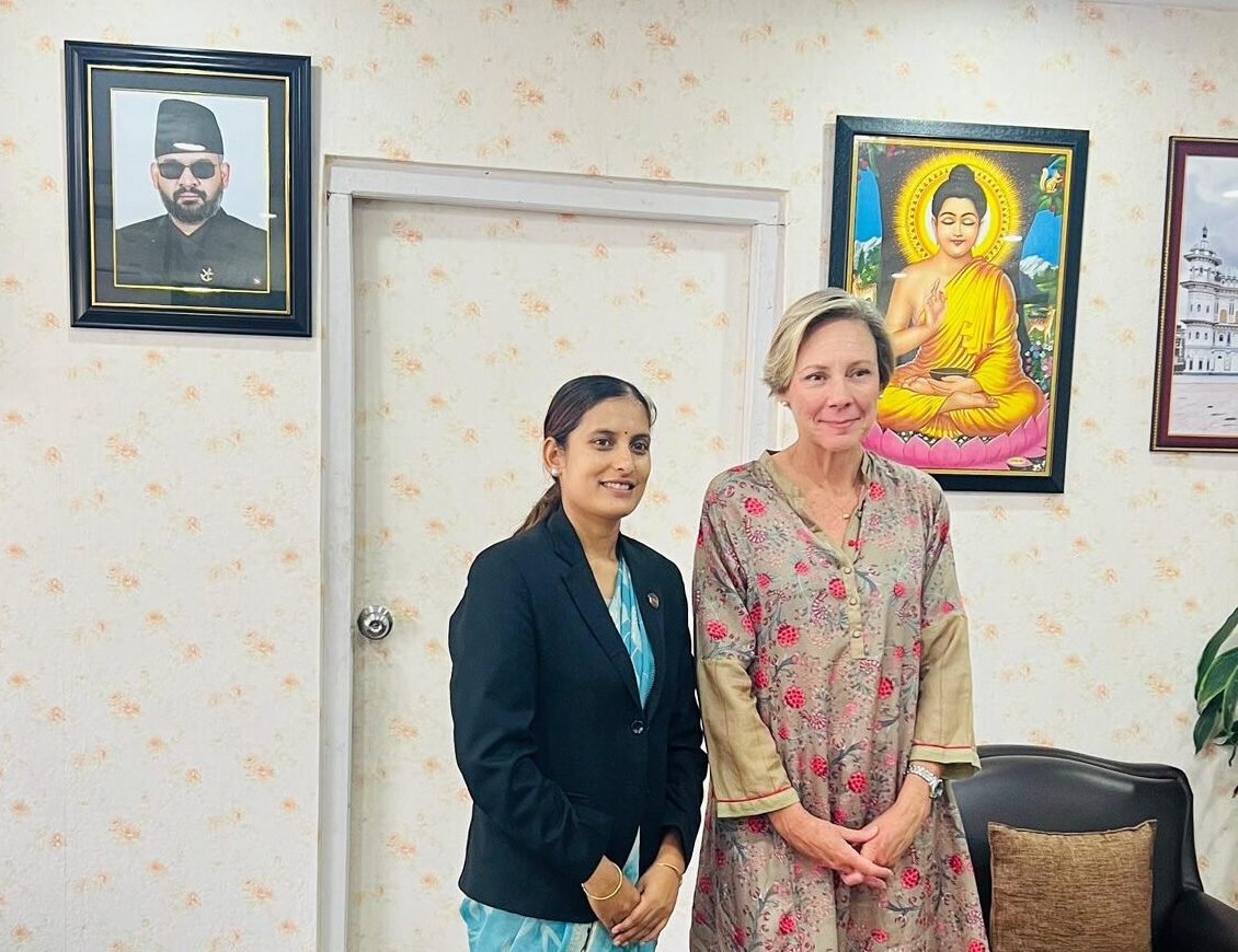 मन्त्री वादीसँग राजदूत लोरेन्जोको शिष्टाचार भेट