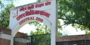 सदर चिडियाखानामा भेटियो बर्डफ्लु, शुक्रबारदेखि अनिश्चितकालका लागि बन्द