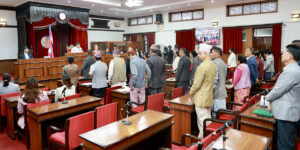 राष्ट्रिय सभा बैठक बस्दै